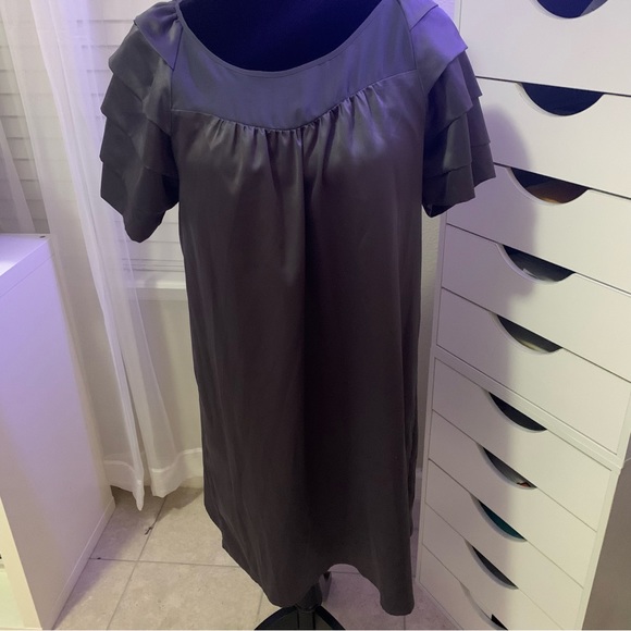 NWT Walter by Walter Gray Silkly Satin Like Shift Dress Size Medi… - Picture 2 of 9